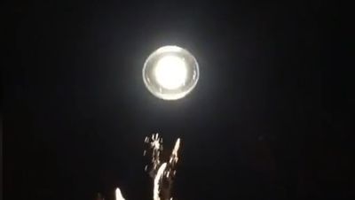 喝醉抬頭大喊「我看到UFO！」　朋友傻眼：那是路燈