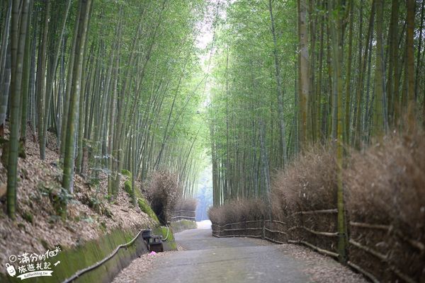 ▲▼大鞍竹海隧道。（圖／滿分的旅遊札記提供）