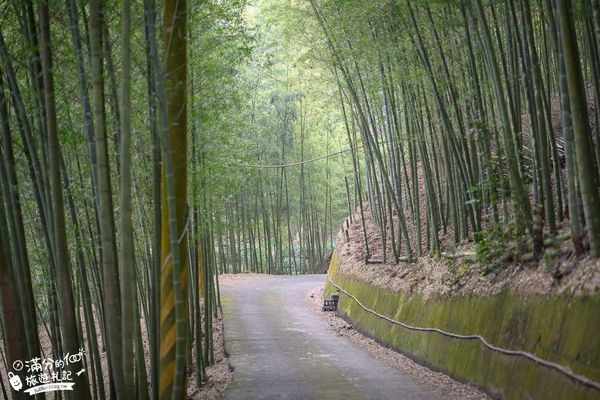 ▲▼大鞍竹海隧道。（圖／滿分的旅遊札記提供）