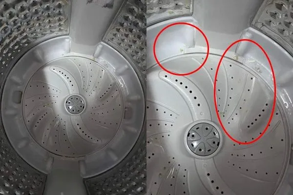 ▲家中洗衣機出現高麗菜殘渣。(圖/翻攝自爆廢公社)