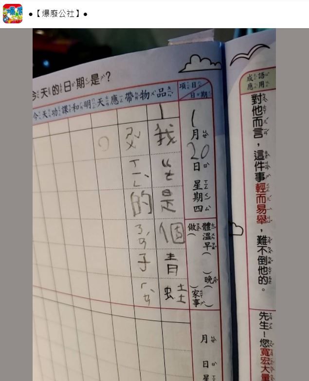 小一妹稱「我哥是青蛙屬性男子漢」　爸媽傻眼問出5字正解（圖／翻攝自Facebook／爆廢公社）