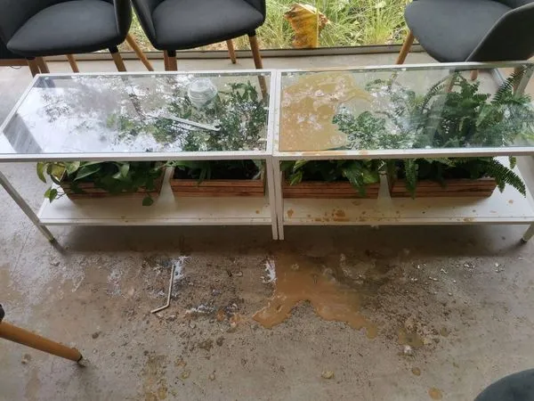 ▲▼女友因為男友拍照技術太差氣得直接把咖啡潑到男友身上。(圖/翻攝自Facebook/Bucolic Khaoyai)