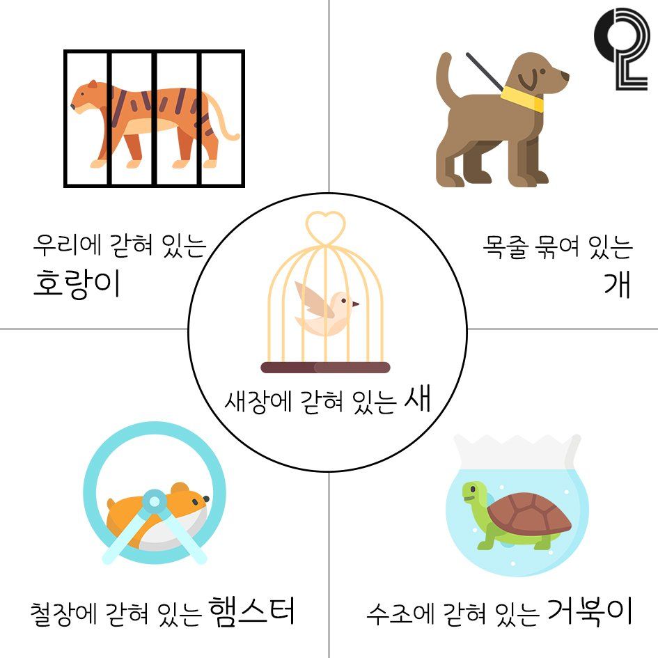 ▲心理測驗。（圖／翻攝自20대 뭐 하지?）