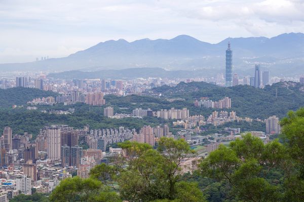 ▲貓空魯冰花,貓空眺望大台北。（圖／產發局提供）