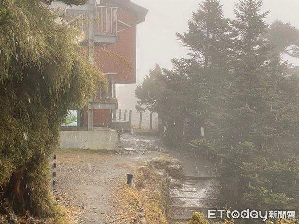 ▲玉山排雲山莊上午10時許也飄瑞雪。（圖／玉山國家公園管理處提供）