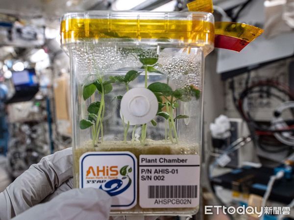 ▲▼關山國小視訊線上報告,扎實豐富的研究分析報告獲得評審好評,榮獲全國第三名。(圖/台東縣政府提供,下同)