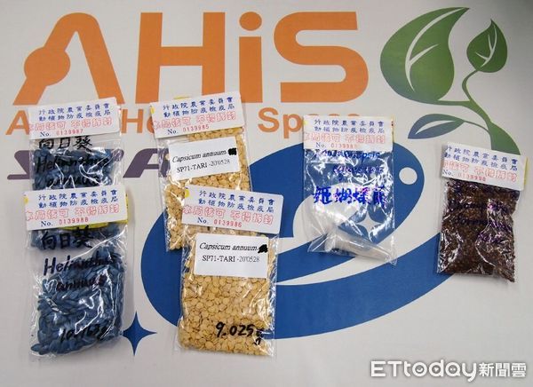 ▲▼關山國小視訊線上報告,扎實豐富的研究分析報告獲得評審好評,榮獲全國第三名。(圖/台東縣政府提供,下同)