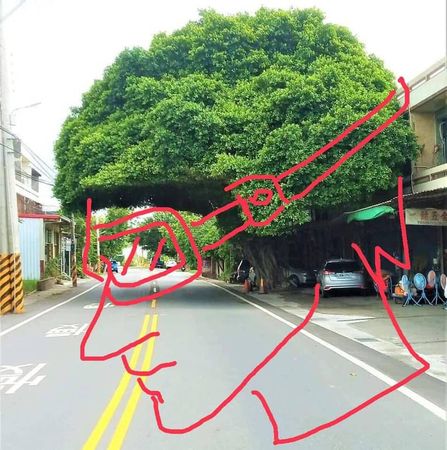 ▲彰化安全帽樹成歷史。(圖/翻攝自Facebook/爆廢公社)