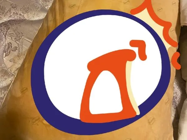 ▲婆婆幫她準備枕頭,網看呆:以為高嘉瑜的。(圖/取自臉書社團)