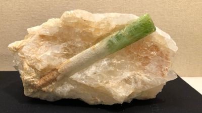 日特色碧璽「長出天然蔬菜」　網看笑稱：怎麼看都像蔥被塞進去