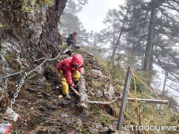 ▲玉山主峰線步道72號棧橋遭枯倒木擊中損毀。(圖/翻攝「玉山國家公園」臉書粉專)