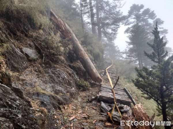 ▲玉山主峰線步道72號棧橋遭枯倒木擊中損毀。(圖/翻攝「玉山國家公園」臉書粉專)