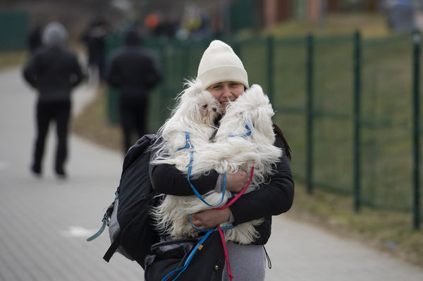▲▼一名婦女於 2022 年 2 月 25 日在波蘭梅迪卡帶著她的狗越過波蘭烏克蘭邊境。（圖／達志影像）