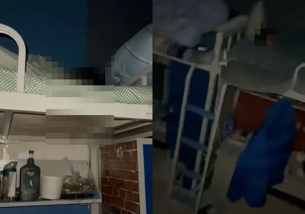 ▲▼室友打呼讓人崩潰。(圖/翻攝自爆笑公社)