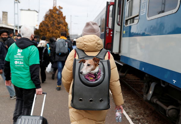 烏克蘭民眾帶寵物逃難。（圖／路透）