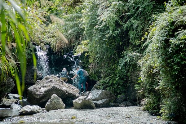 ▲▼2022蘭陽新視野 野趣大同遊程開跑了