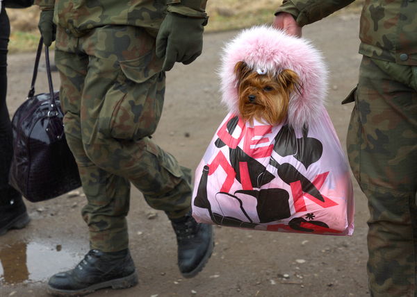 烏克蘭民眾帶愛犬逃難（圖／路透）
