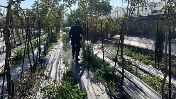 ▲▼莊理德勤餘都回南投幫忙母親斂做農事,不少友人不捨打氣「別太激動、要挺住」。(圖/莊理德臉書)