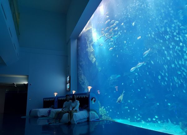 ▲Blu Night宿海奇遇海洋系夜宿體驗