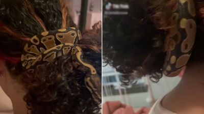 寵物蛇蛇超愛頭髮「繞成天然髮圈」　女主人力推：牠們一點都不可怕的