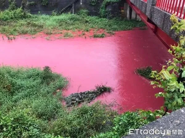 ▲苗栗縣卓蘭鎮老庄溪,28日被民眾發現整條河川都變成粉紅色,氣得痛批汙染者沒有良心。(圖/翻攝自我是卓蘭人)
