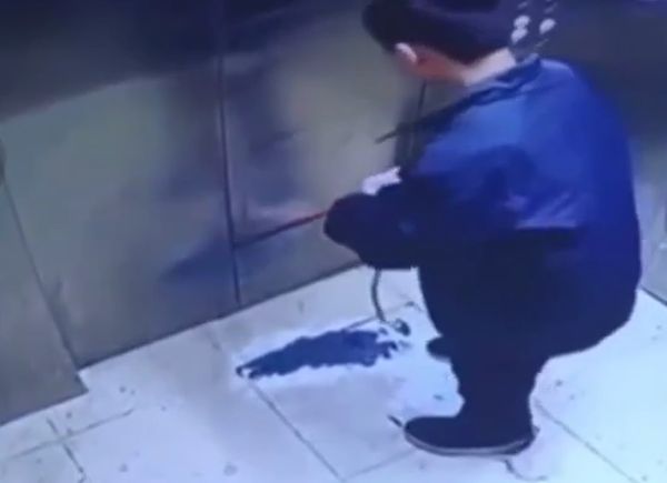 男孩偷狗拖進電梯夾死。（圖／翻攝自微博@交通事儿）