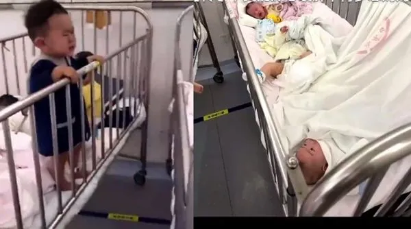 ▲▼ 。(圖/翻攝自微博)