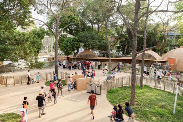 ▲新竹市立動物園歡慶兒童節！　12歲以下孩童「免費入園」。（圖／新竹市立動物園提供）