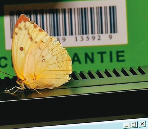 偵辦過程中,收案員警的辦公桌及電腦上常有蝴蝶駐足。(東森新聞提供)