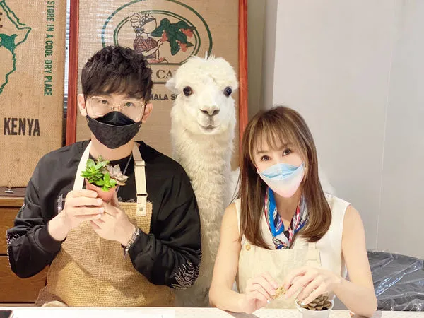 ▲▼王宥忻全家人和寵物羊駝「麥可」一起參與公益活動。(圖/固力狗娛樂提供)