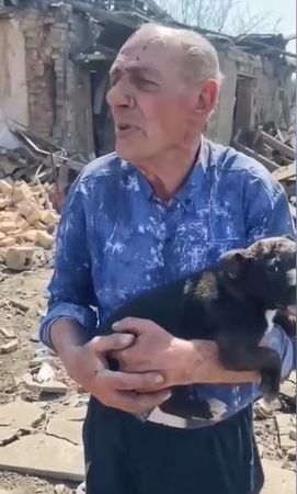 ▲▼烏克蘭77歲老翁家被炸毀「小狗遭活埋」　救援隊奮力救出。（圖／翻攝自IG@uanimals.official）