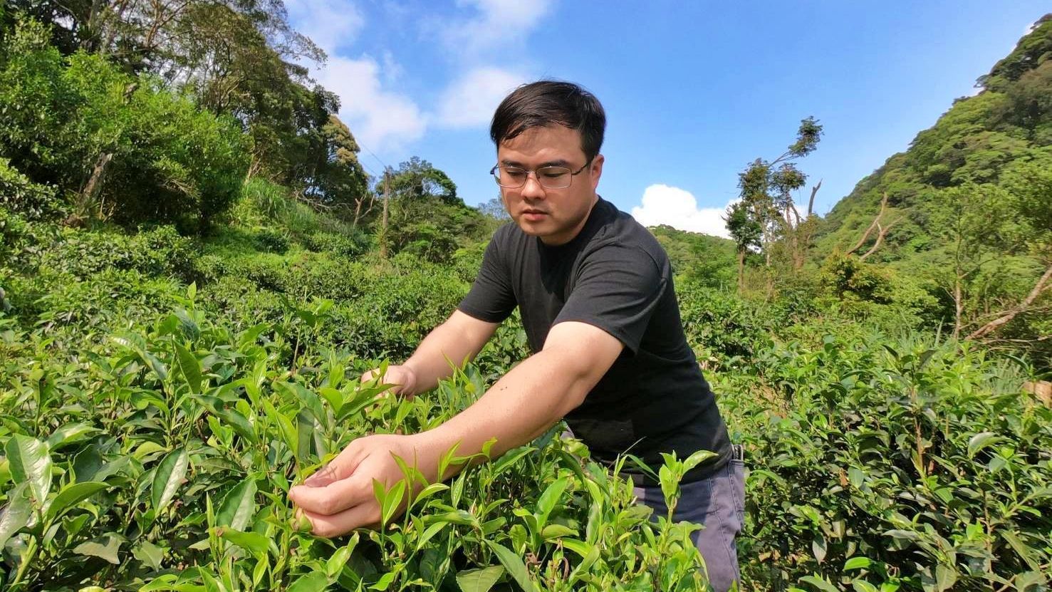 ▲新北三峽好茶飄香國際 青農陳宣和「三惜精神」傳承3代茶廠。（圖／新北市農業局提供）