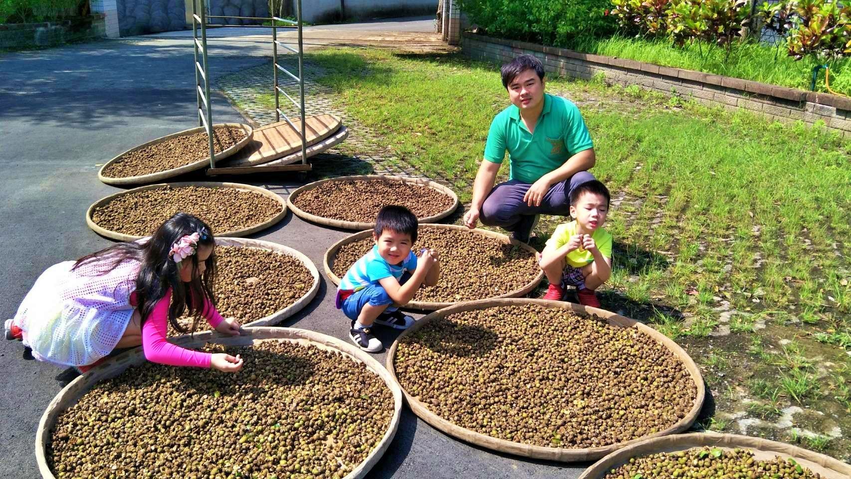 ▲新北三峽好茶飄香國際 青農陳宣和「三惜精神」傳承3代茶廠。（圖／新北市農業局提供）