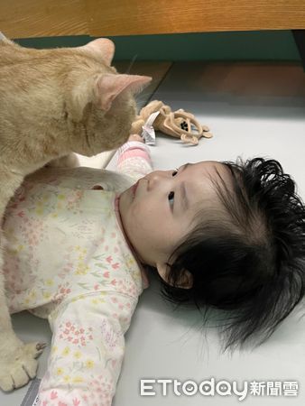 貓咪PD與寶寶（圖／飼主溫小美提供）