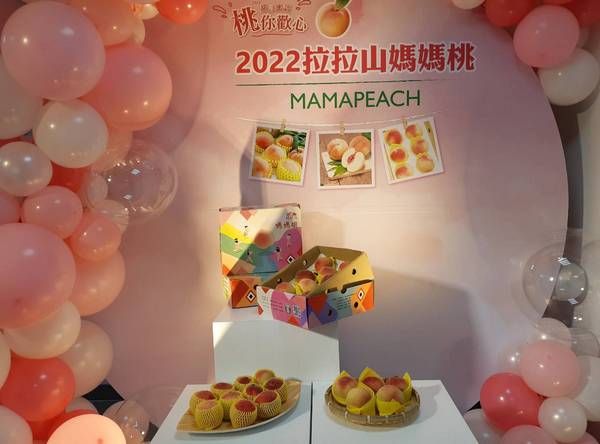 ▲桃園「媽媽桃」盛產。(圖/農業局提供)