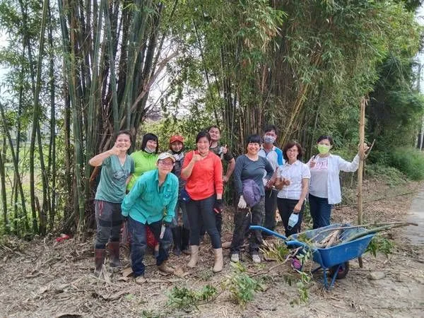 ▲如何修整「竹圍仔」?