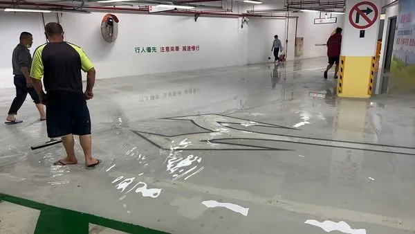 ▲平鎮乙未公園停車場淹水又遭紅火蟻入侵。(圖/黃敬平服務處提供)