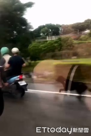 ▲▼苗栗黑狗遭「騎車拖行」帶去棄養　大步奔跑想跟飼主一起回家。（圖／新竹市浪愛傳遞貓狗tnvr協會授權提供）