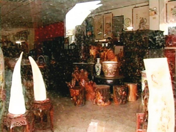 除了手機及皮夾,古董家具行內其他值錢的物品並未遺失。(東森新聞提供)