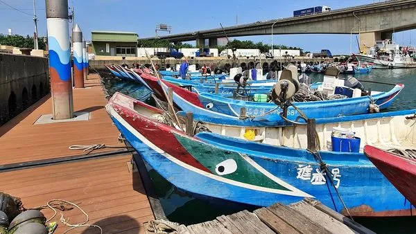 ▲響應打擊IUU國際協定 新北籲遵守刺網、拖網禁漁期規定。(圖/新北市漁業處提供)