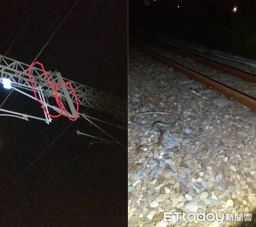 ▲▼「2條蛇入侵」讓台鐵台中電車線故障。(圖/記者李宜秦翻攝)