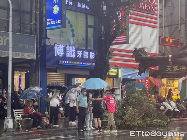 ▲▼ 士林中正路路樹倒塌 。(圖/記者黃宥寧攝)