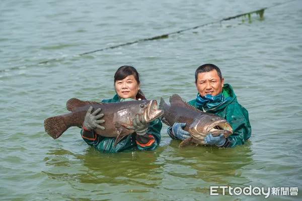 ▲饗魚樂」經營者陳建志、潘瓊惠夫婦,追求卓越的品質。 。(圖/記者陳崑福翻攝,下同)