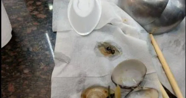 一名網友日前前往彰化縣鹿港鎮一間火鍋店用餐,吃到一半竟發現火鍋裡有蟑螂。(圖/翻攝「爆料公社二社」)