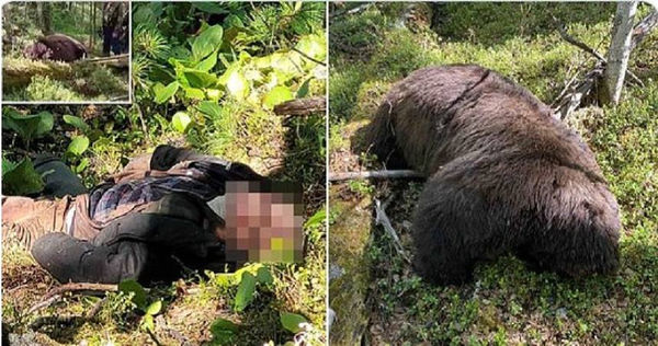一名獵人以為熊死了前往查看，卻遭受襲擊身亡。（圖／翻攝Daily Mail Online twitter）