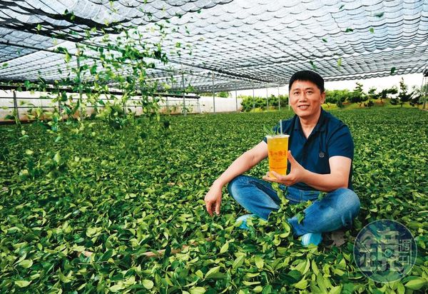 王賢明16歲就創業賣茶，後自建茶廠、物流到銷售一條龍供應鏈，被稱為「茶飲南霸天」。