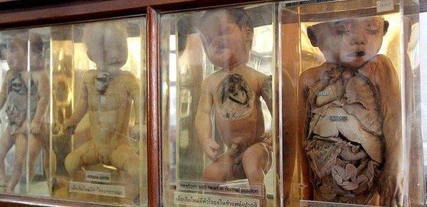 慎入！泰國「死亡博物館」比南美館殭屍更驚悚　死囚、病故真遺體全展出