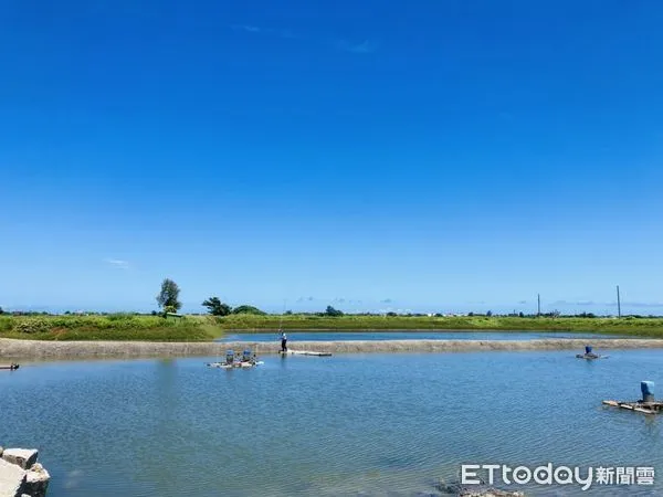 ▲▼ 夏季高溫炎熱嘉縣府 籲請養殖漁友作好防暑及魚塭夏季管理 。(圖/嘉義縣政府提供)