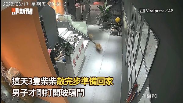 ▲▼3柴車隊回家太興奮「跟車狂飆撞爆玻璃門」　闖禍秒開溜全場傻眼。（圖／即新聞／AP）