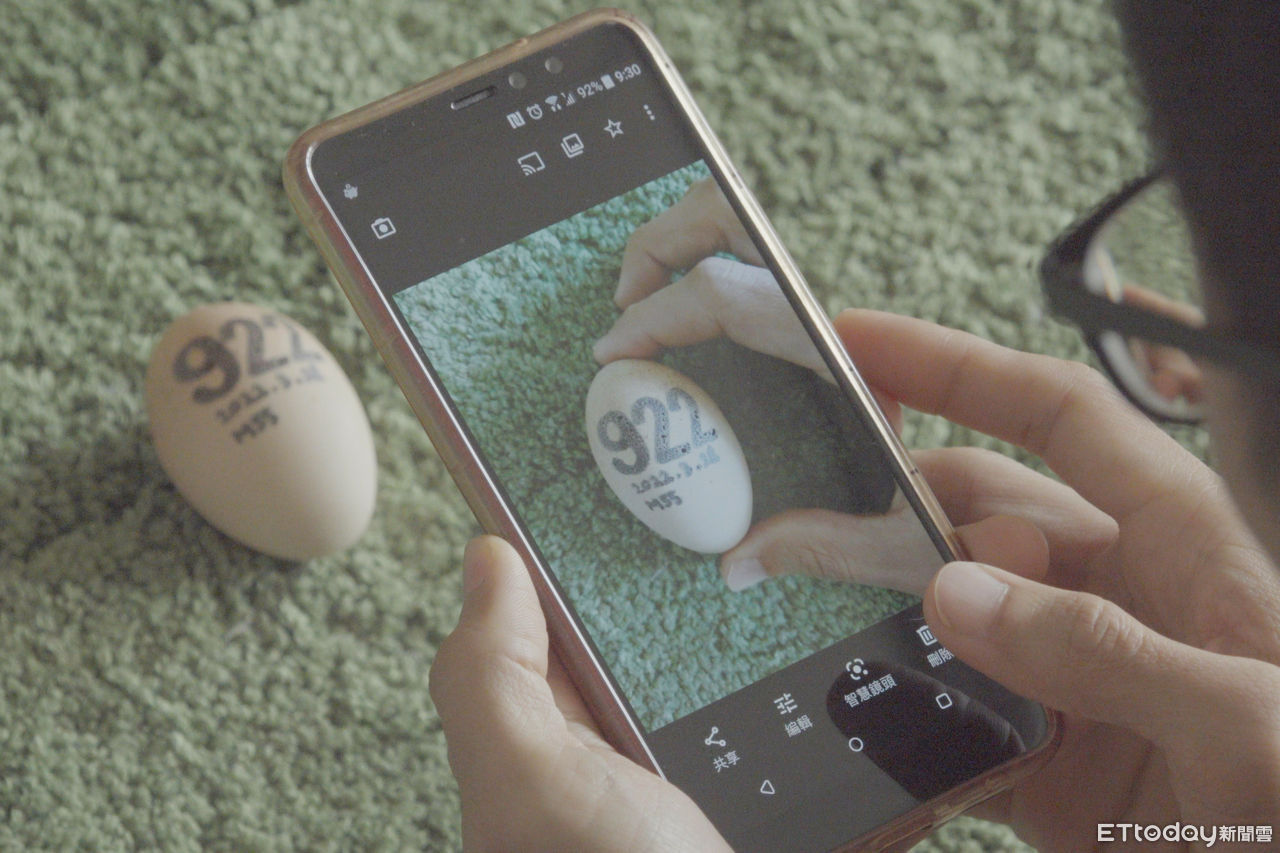 ▲沈致軒將餘姬回春後產下的第922顆雞蛋拍照紀錄。(圖/記者梁建裕攝)